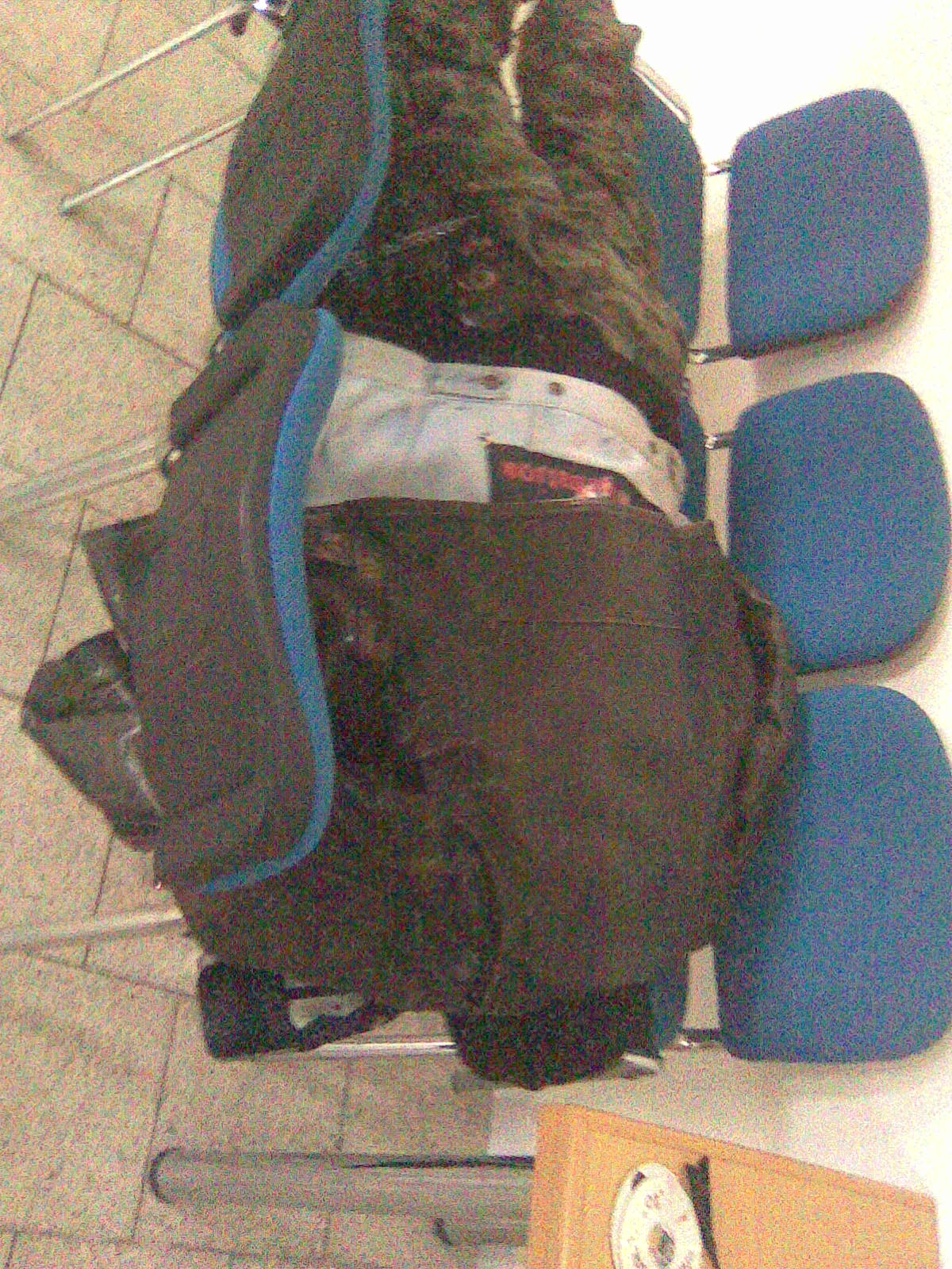Obraz079.jpg